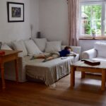 DSC_0149 (1)