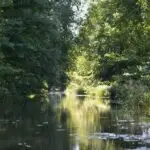 Ferienhaus Spreewald mit direktem Fließzugang